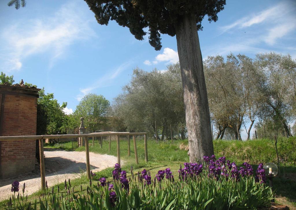 Agriturismo La Torretta Costalpino Dış mekan fotoğraf
