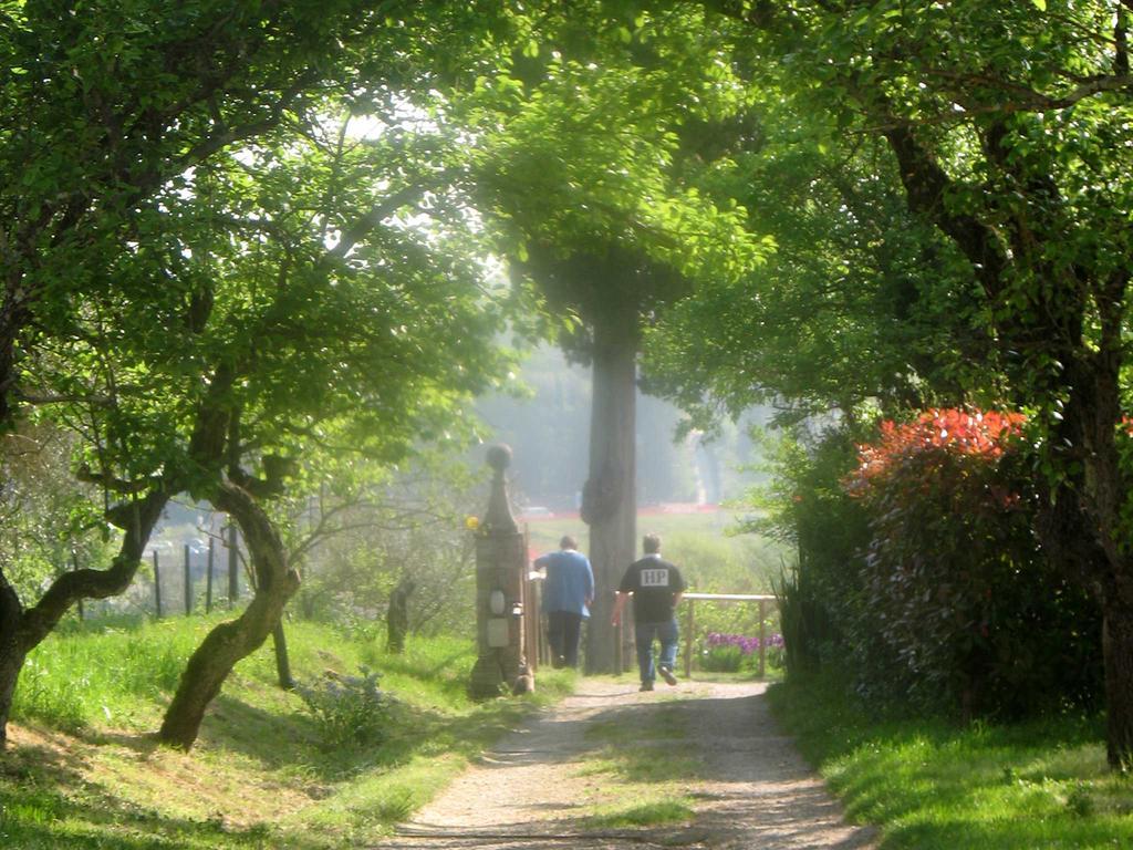 Agriturismo La Torretta Costalpino Dış mekan fotoğraf
