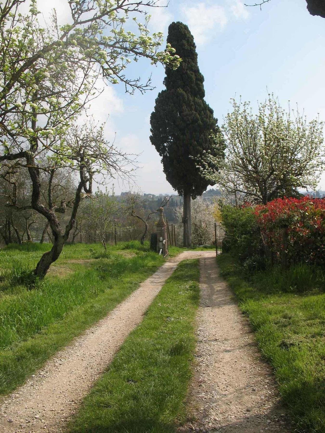 Agriturismo La Torretta Costalpino Dış mekan fotoğraf