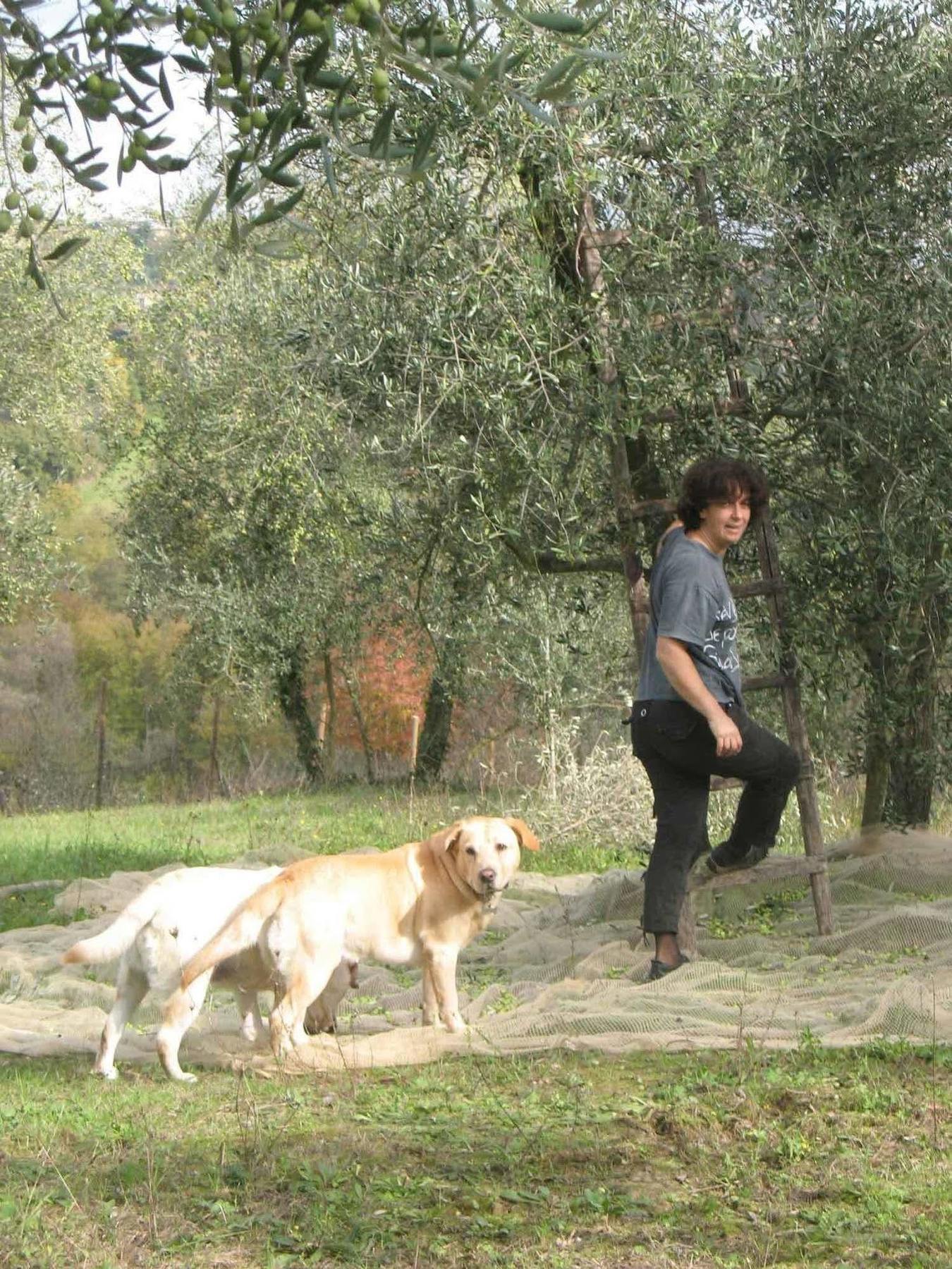 Agriturismo La Torretta Costalpino Dış mekan fotoğraf