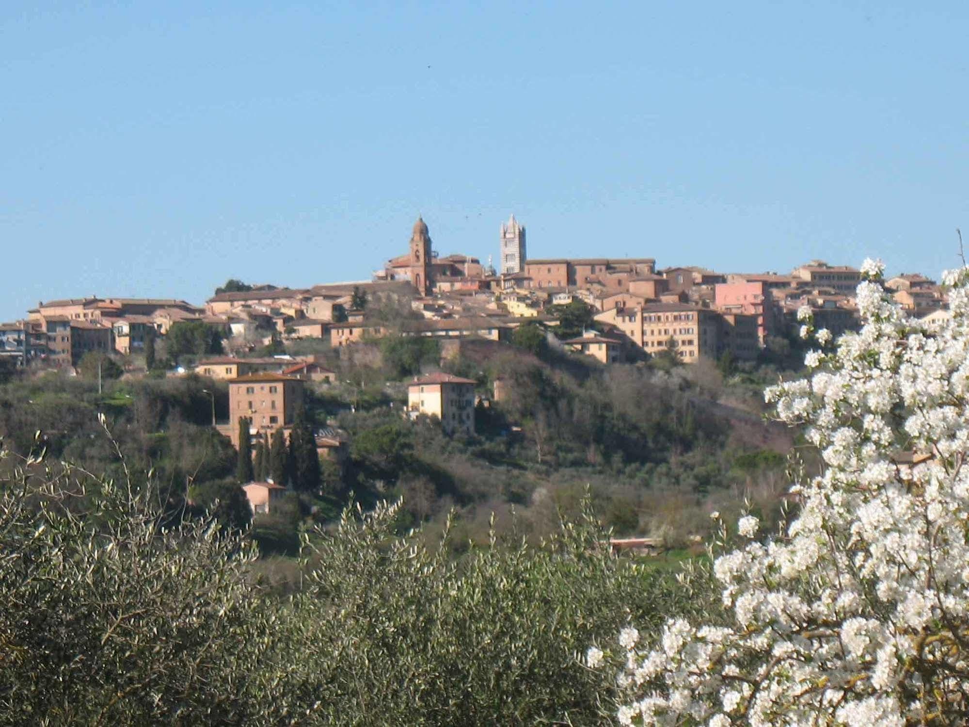 Agriturismo La Torretta Costalpino Dış mekan fotoğraf