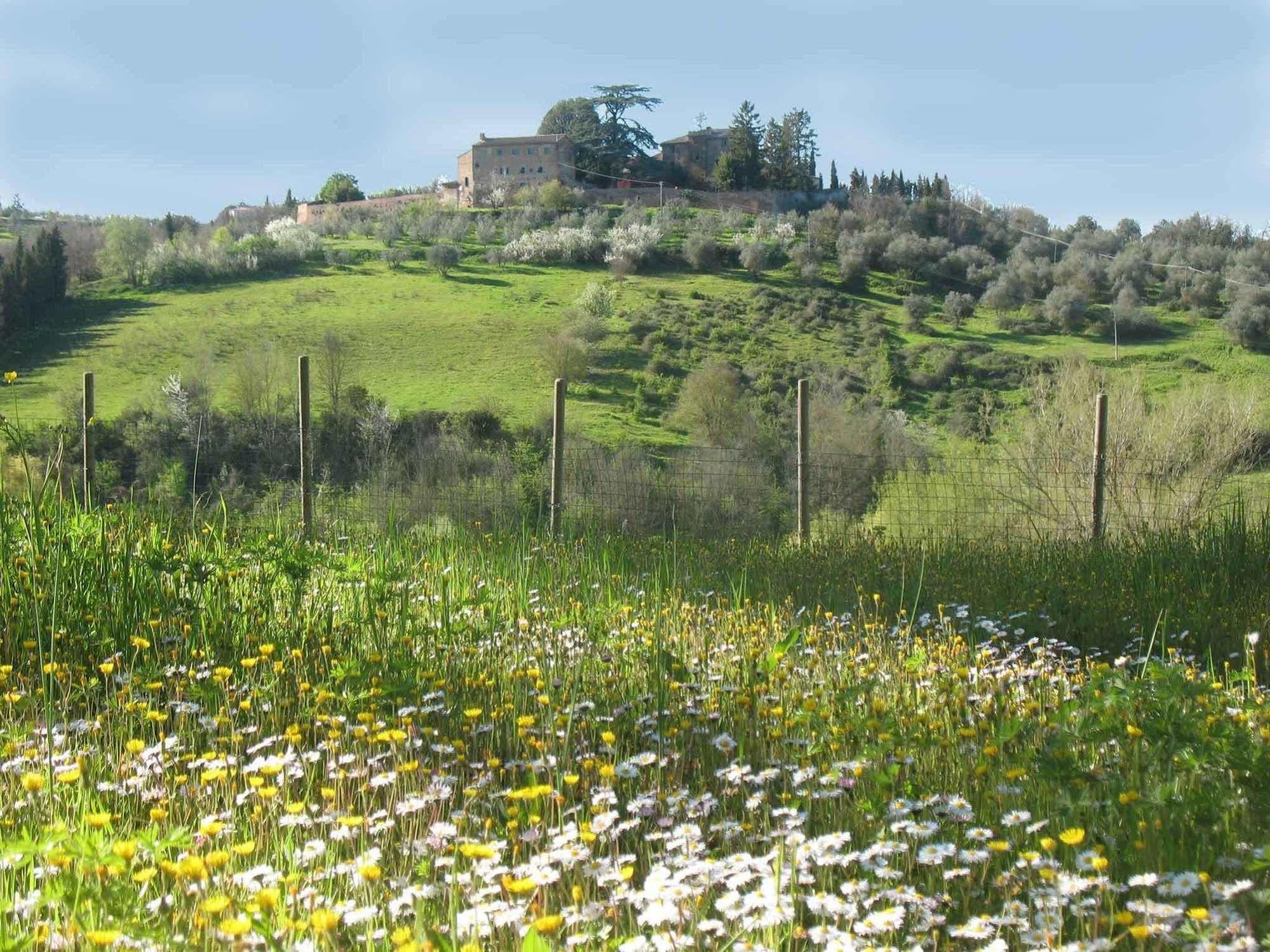 Agriturismo La Torretta Costalpino Dış mekan fotoğraf