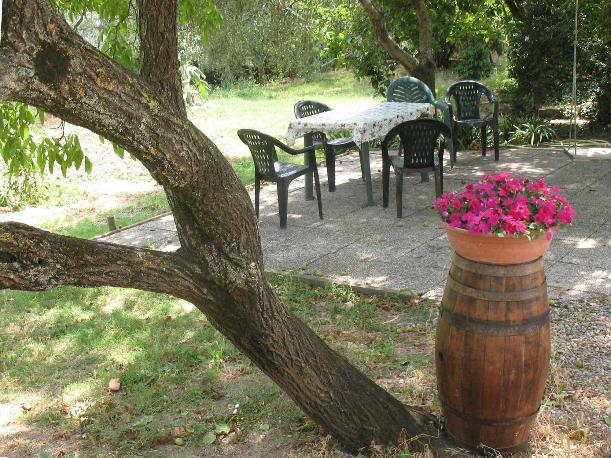 Agriturismo La Torretta Costalpino Dış mekan fotoğraf