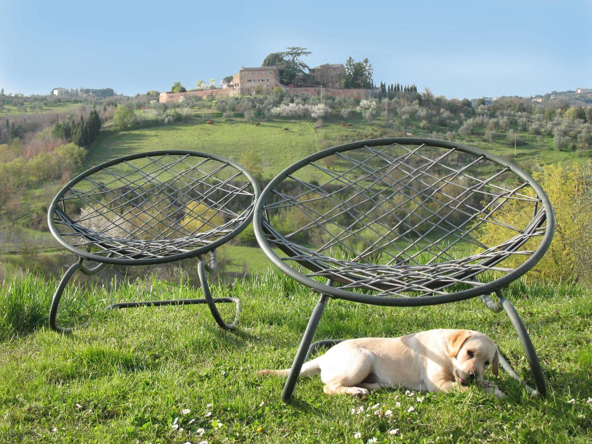 Agriturismo La Torretta Costalpino Dış mekan fotoğraf